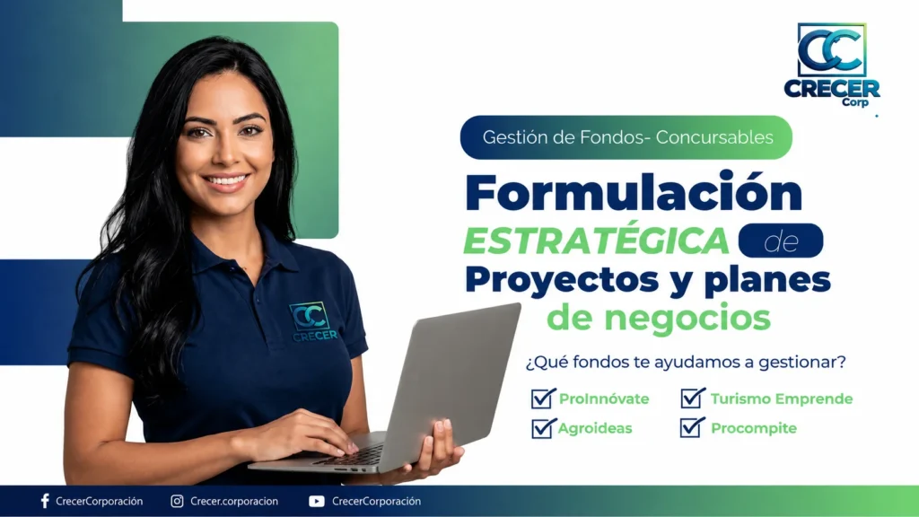 Gestión de fondos concursables: cómo formular proyectos y planes de negocios con éxito